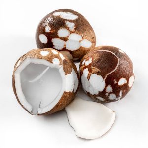 Nuez de coco con cutícula
